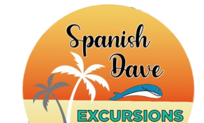 Spanish Dave Excursions